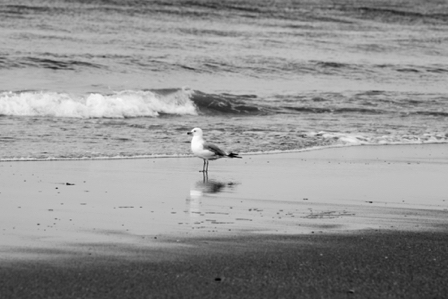 BH3A1569 - Version 2.jpg